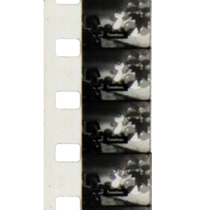 8mm vintage film frame